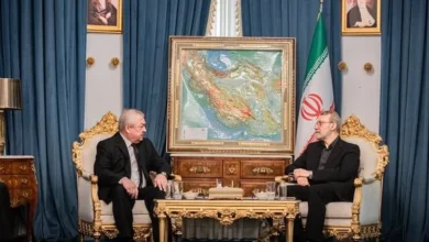 لاریجانی از همراهی روسیه با ایران در سازمان ملل تشکر کرد
