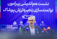 مدنی‌زاده: طرح ملی اعتبار ایرانیان اجرایی می‌شود | پرداخت تسهیلات ارزان قیمت