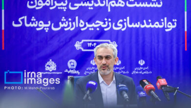 مدنی‌زاده: طرح ملی اعتبار ایرانیان اجرایی می‌شود | پرداخت تسهیلات ارزان قیمت