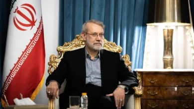 واکنش لاریجانی به استقبال از اسیران فلسطینی