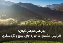پنل اس ام اس گیلان؛ افزایش مشتری در حوزه چای، برنج و گردشگری