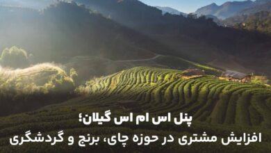 پنل اس ام اس گیلان؛ افزایش مشتری در حوزه چای، برنج و گردشگری