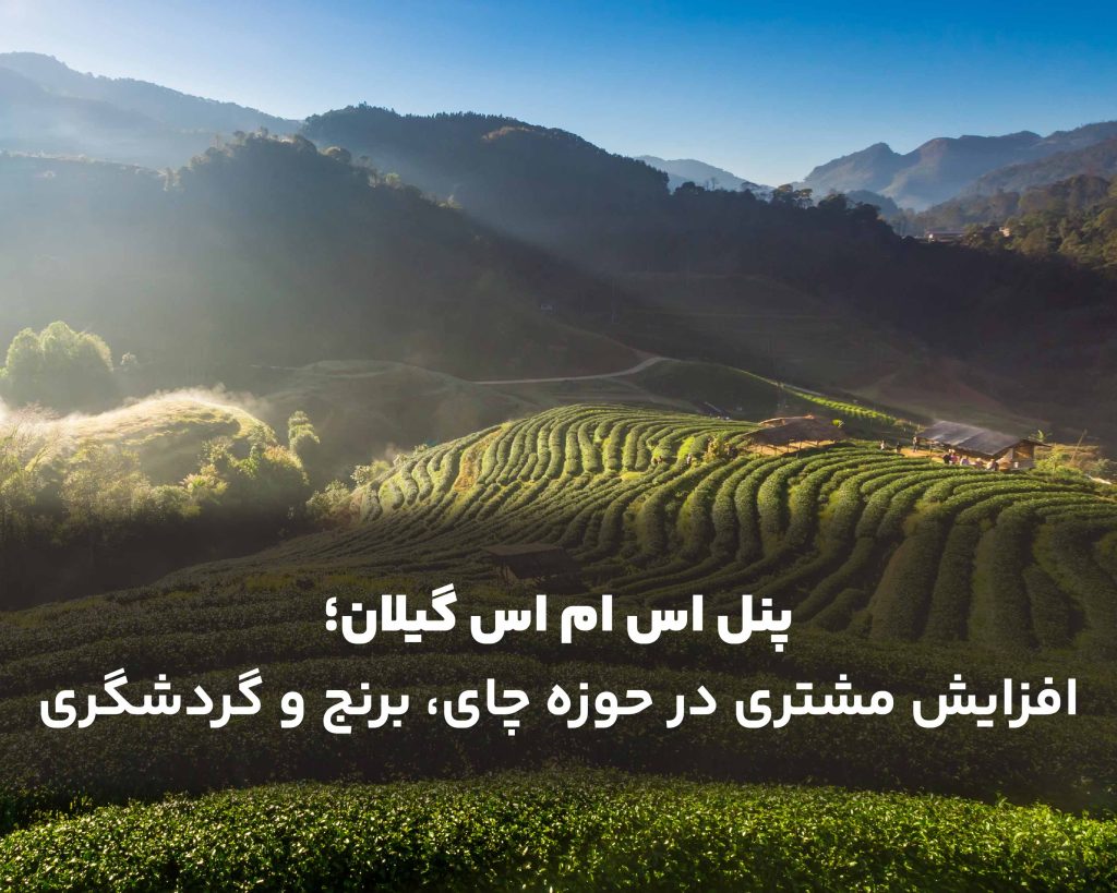 پنل اس ام اس گیلان؛ افزایش مشتری در حوزه چای، برنج و گردشگری