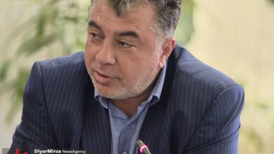 پیشنهاد ایجاد مزرعه ساحلی الگوساز ۱۰۰ تنی شیلات در لنگرود
