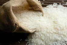 کاهش قیمت حبوبات/ برنج ایرانی در بنکداری 210 تا 320 هزار تومان