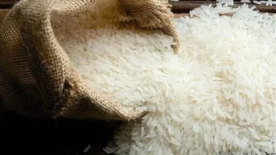 کاهش قیمت حبوبات/ برنج ایرانی در بنکداری 210 تا 320 هزار تومان