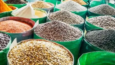 کمبودی در عرضه حبوبات نداریم
