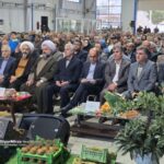 گزارش تصویری جشنواره کشاورزی شکرانه برداشت کیوی در رودسر