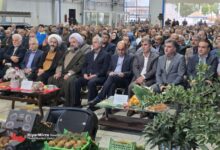 گزارش تصویری جشنواره کشاورزی شکرانه برداشت کیوی در رودسر