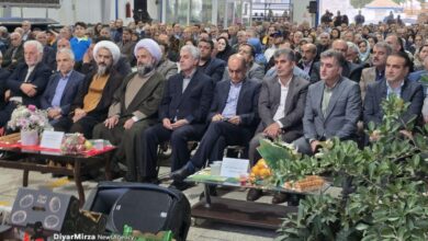 گزارش تصویری جشنواره کشاورزی شکرانه برداشت کیوی در رودسر