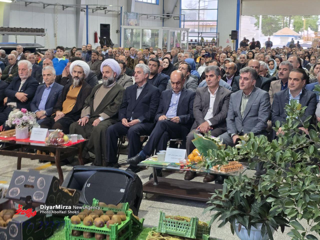 گزارش تصویری جشنواره کشاورزی شکرانه برداشت کیوی در رودسر