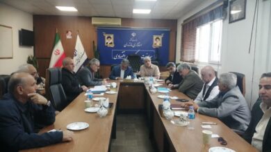 ۳۰ هزارتن گندم باکیفیت وارد مازندران شد | مردم باید نان با کیفیت مصرف کنند