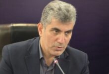 ۵ درصد افزایش تولید برنج در گیلان و حمایت تسهیلاتی از کارخانه‌های شالیکوبی