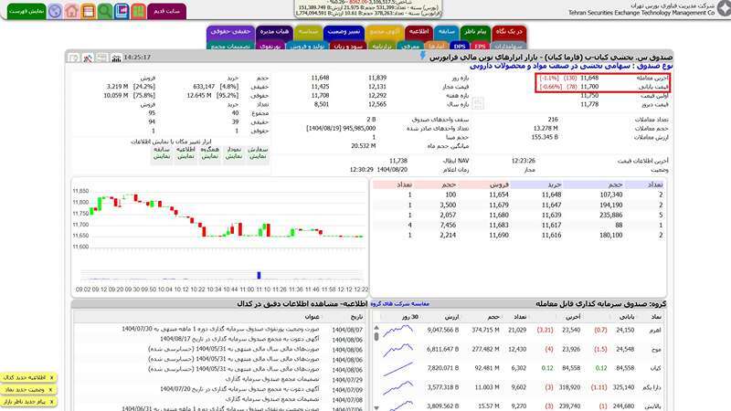 نحوه انتخاب بهترین صندوق سرمایه گذاری مشترک با استفاده از وب سایت Tsetmc