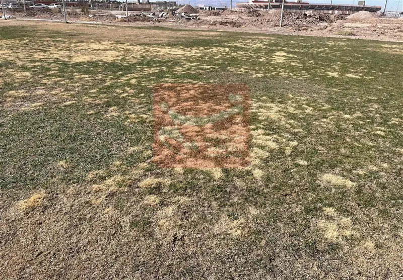 1404090513461060934842454