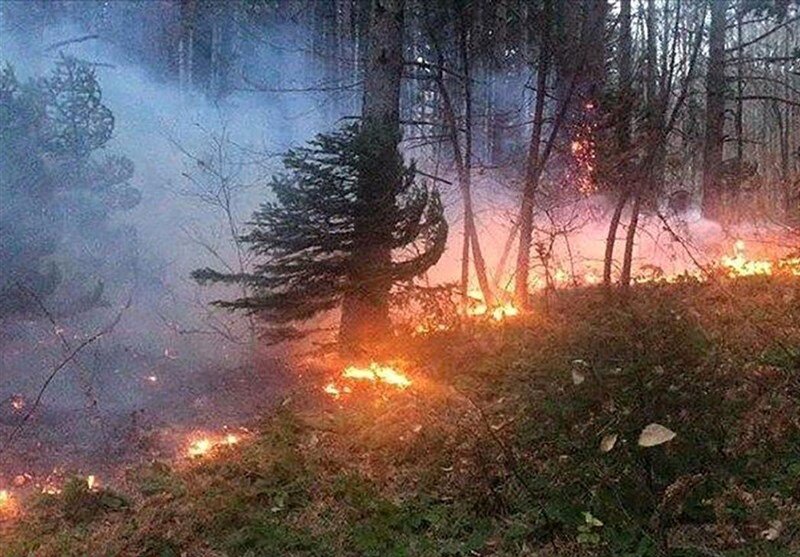 جرقه های آتش در فصول سرد سال در کمین جنگل ها است