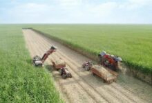 برداشت نیشکر از ابتدای فصل، ۱۰۰ درصد سبز انجام شده است/ امسال ناوگان برداشت نیشکر با ۹ هاروستر جدید تقویت شد