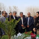 برگزاری دومین جشنواره بادام‌زمینی و برنج در روستای لیچاه لشت‌نشاء+ تصاویر