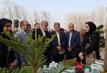 برگزاری دومین جشنواره بادام‌زمینی و برنج در روستای لیچاه لشت‌نشاء+ تصاویر