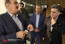 تنها حدود ۱۰ تا ۲۰ درصد پرتقال‎های گیلان وارد چرخه فرآوری می‌شود