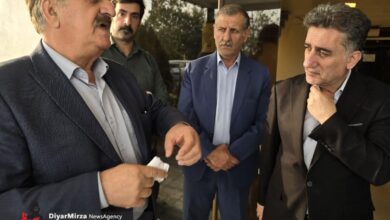 تنها حدود ۱۰ تا ۲۰ درصد پرتقال‎های گیلان وارد چرخه فرآوری می‌شود