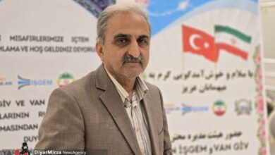 رشد ۴۵ درصدی صادرات چای؛ ۹۸۰۰ تن چای گیلان راهی ۳۰ کشور شد