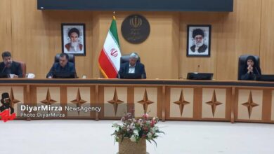 غراوی: هزینه‌های خارج از بودجه دهیاری‌ها مشمول ورود دستگاه‌های نظارتی است