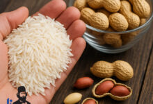 غفلت مدیریتی؛ بزرگ‌ترین تهدید برای برند کشاورزی آستانه‌اشرفیه