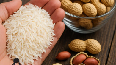 غفلت مدیریتی؛ بزرگ‌ترین تهدید برای برند کشاورزی آستانه‌اشرفیه