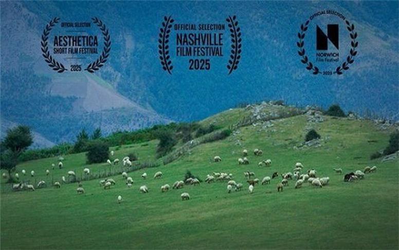 فیلم ایرانی “گوسفند” منتخب جشنواره بین‌المللی لس‌آنجلس شد