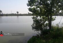 لایروبی ۵۰۰ هکتار از آببندان‌های گیلان با مکانیزم تهاتر خاک انجام می‎شود