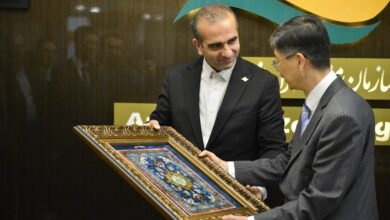 منطقه آزاد انزلی به‌دنبال ایجاد شهرک صنعتی چینی و پارک لجستیک مشترک با پکن