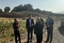 ورود دادستانی رودبار به بوی نامطبوع کارخانجات زیتون؛ تعیین مهلت برای ایجاد سیستم‌های تصفیه پساب