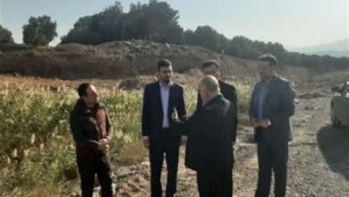 ورود دادستانی رودبار به بوی نامطبوع کارخانجات زیتون؛ تعیین مهلت برای ایجاد سیستم‌های تصفیه پساب