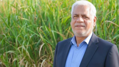 پرنده درّاج نماد پنجمین جشنواره شکرستان است