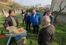 اطاقور؛ قطب اصلاح نژاد ملکه زنبور عسل در شرق گیلان | لنگرود چهارمین تولیدکننده عسل در گیلان است