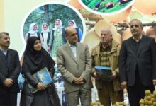 باید سود صادرات مستقیماً به تولیدکننده و باغدار برسد | ضرورت ارتقای زیرساختهای حملونقل و کشاورزی