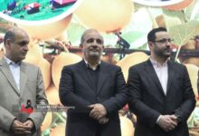 تصاویری از جشنواره شکرانه برداشت کیوی در تالش