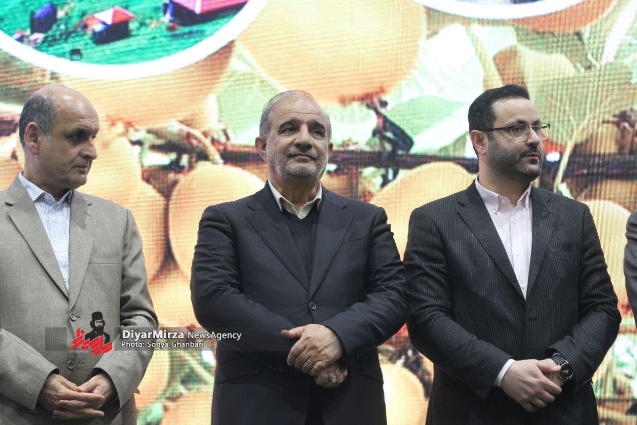 تصاویری از جشنواره شکرانه برداشت کیوی در تالش