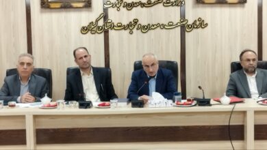 خودنظارتی، رکن اصلی عبور از چالش‌های صنفی است