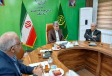 دوبرابر شدن سطح زیر کشت گیاهان دارویی در گیلان؛ از به لیمو و ختمی تا زعفران