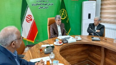 دوبرابر شدن سطح زیر کشت گیاهان دارویی در گیلان؛ از به لیمو و ختمی تا زعفران