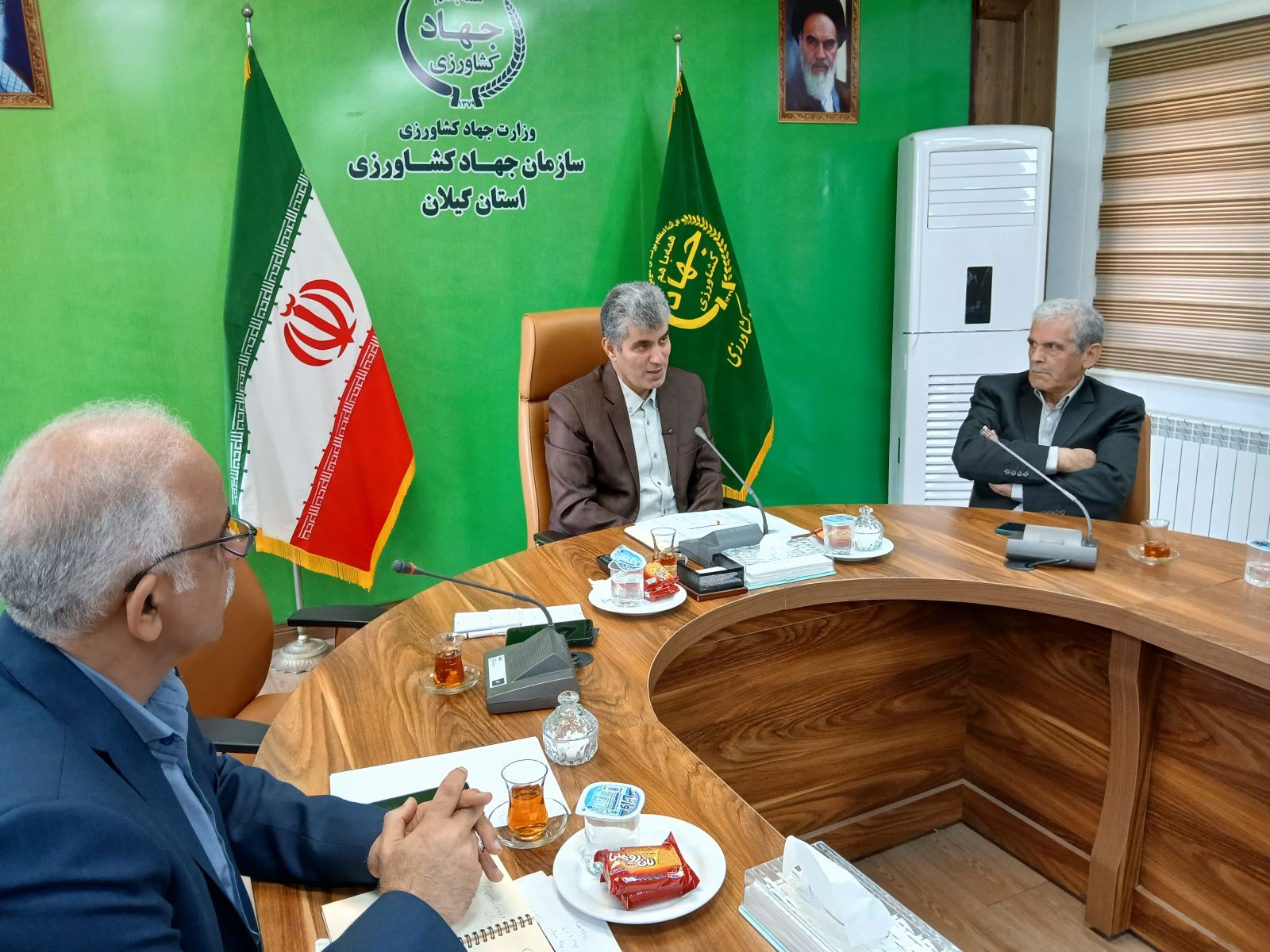 دوبرابر شدن سطح زیر کشت گیاهان دارویی در گیلان؛ از به لیمو و ختمی تا زعفران