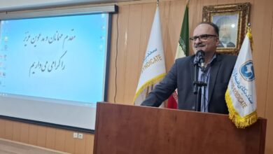 رتبه چهارم گیلان در ضریب نفوذ بیمه؛ بیش از ۱۱ همت برای حق بیمه و 7 همت برای خسارت پرداخت شد