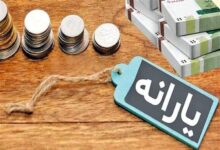 شرایط جدید حذف یارانه ابلاغ شد؛ کدام افراد کالابرگ می گیرند؟