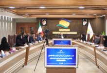 نجات تالاب انزلی نیازمند تعیین و تصویب سند راهبردی و تشکیل کارگروهی ملی است