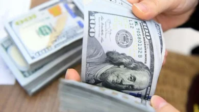 چرا قیمت دلار با شتاب بالا می رود و دولت هم کاری نمی کند؟