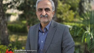 بدهی دولت به چایکاران به ۷۹ میلیارد رسید | کارخانجات حدود ۹۹ درصد سهم خود را پرداخت کردند