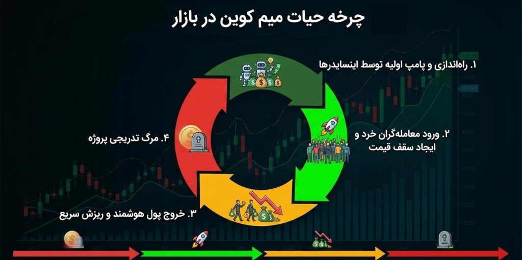 چرخه زندگی سکه های میم