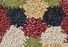 جزئیات جدید از قیمت حبوبات در بازار